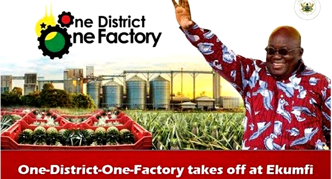 “Commissioning of Ekumfi Pineapple Factory comes as a joy”—1D1F Coordinator