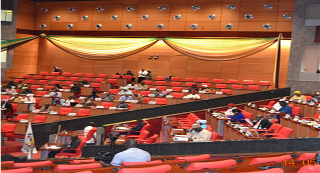 ECOWAS lawmakers lament over truant Nigeria delegations, first Deputy Speaker