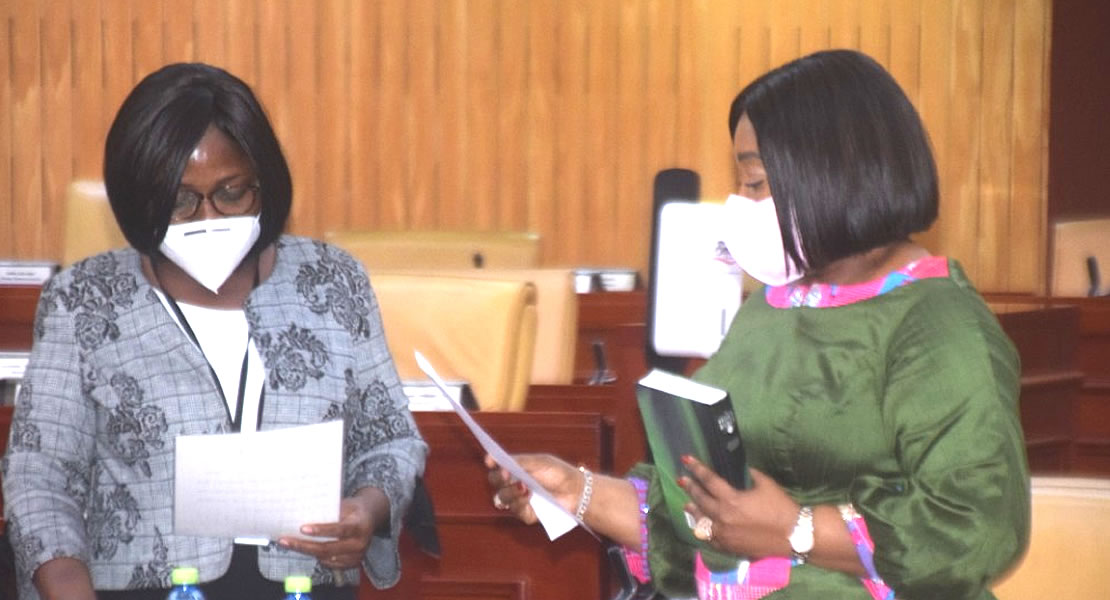 “I believe in ECOWAS MPs being elected directly by citizens”—Ayorkor Botwe