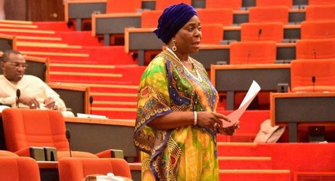 ECOWAS Direct Election: “Who does the elected MPs report to” — Olujimi