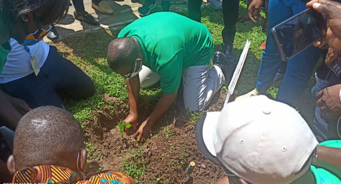 Speaker leads Parliament to plant trees in selected areas in Accra