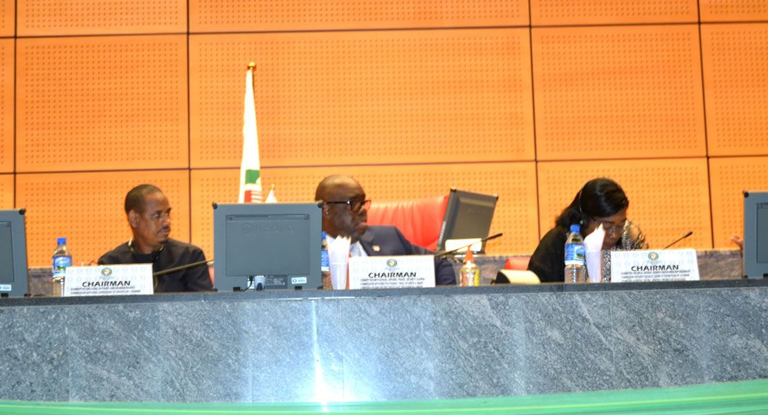 2022 First Ordinary Session : Togo, Ghana and Nigeria to present country report