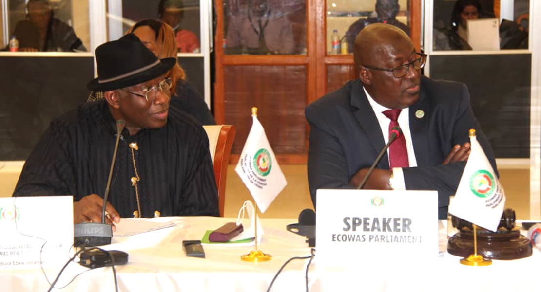 Election of ECOWAS MPs is a panacea to executive manipulation — Zargo