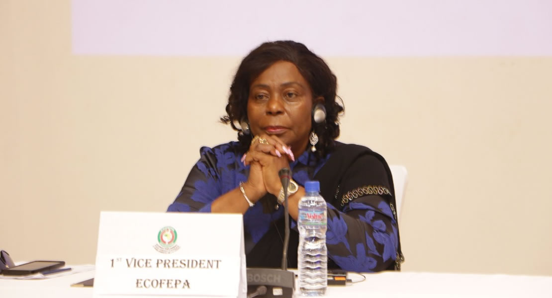 ECOFEPA Will Advocate For Quality Legislation To Enhance Women, Youths Participation In Leadership, Politics – Sen. Olujimi