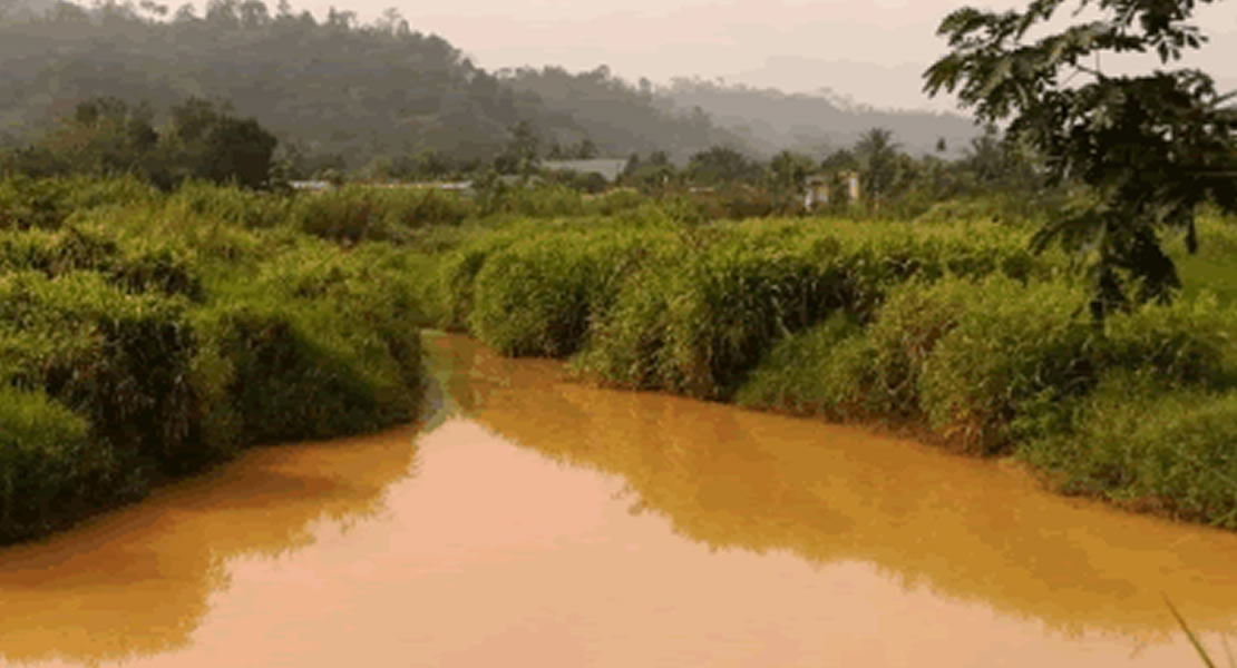 Water-borne diseases accounts for large percentage of mortality and morbidity –Amidu