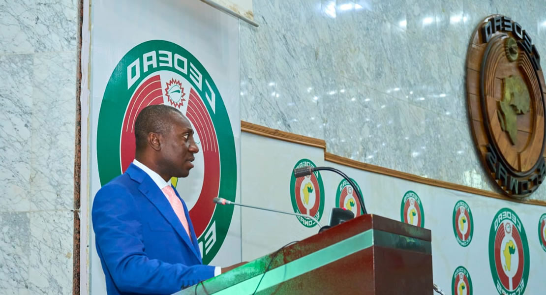 ECOWAS Parliament: Alexander Kwamena Afenyo -Markin leader and 3rd Deputy Speaker